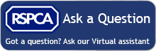 Ask our virtual assistant a question
